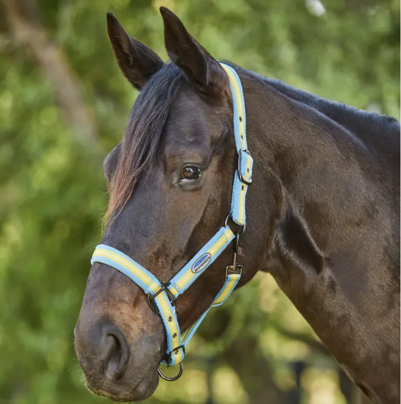 Weatherbeeta Coordinate Headcollar Light Blue/Gold/Sand